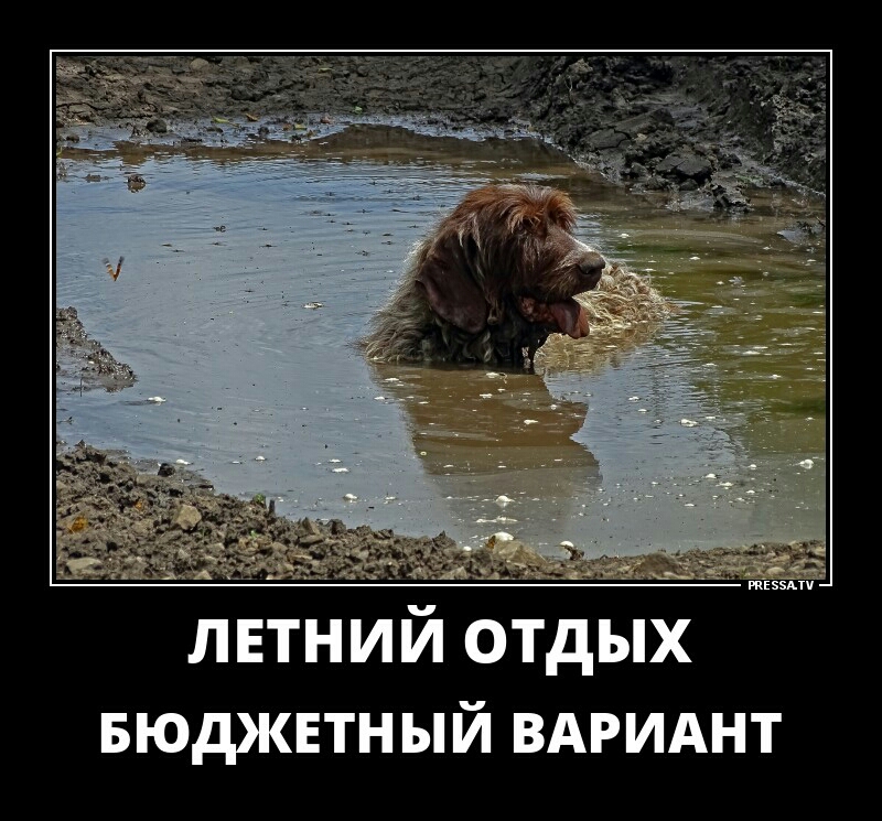 Золе ЛЕТНИЙ ОТДЫХ БЮДЖЕТНЫЙ ВАРИАНТ