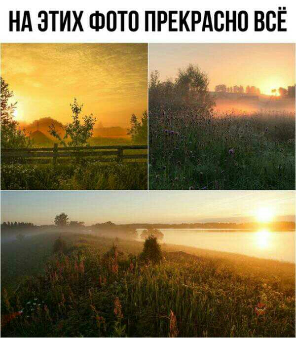 НА ЭТИХ ФОТО ПРЕКРАСНО ВСЁ