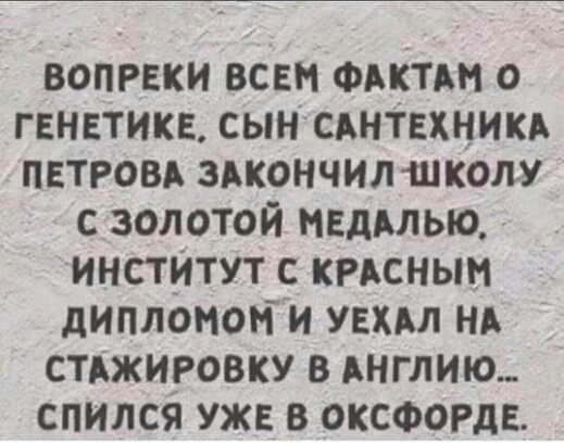 вопреки всем Фиктт о гвнктике сын САНТЕХНИКА пвтровд здкончилшколу с золотой неддлью инстИтут с кпснын дипломони увхм нд стджиговку в Англию спился УЖЕ В оксфогде