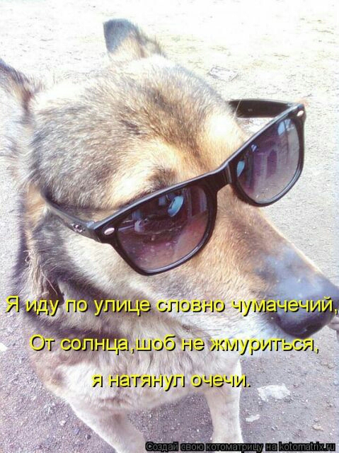 шоддёёшиуриься пн 1 15