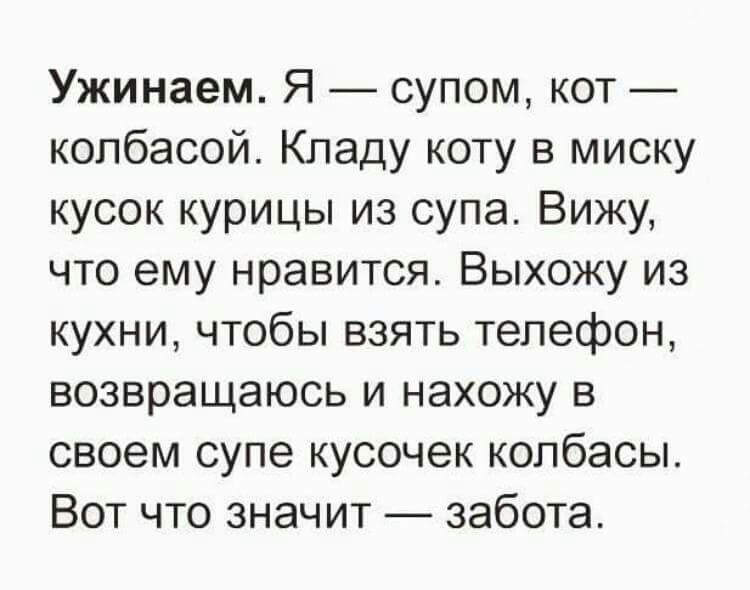 Ужинаем Я супом кот колбасой Кладу коту в миску кусок курицы из супа Вижу что ему нравится Выхожу из кухни чтобы взять телефон возвращаюсь и нахожу в своем супе кусочек колбасы Вот что значит забота