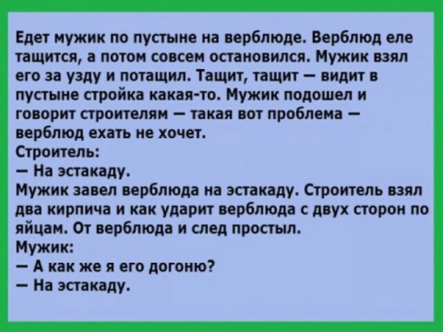Едет мужик по пустыне на верблюда Верблюд еле тащится а потом соком остановился Мужик взял его за узду и потащил Тащит тащит видит в пустыне стройка какая то Мужик подошел и говорит строителям такая пот проблема верблюд ехать не хочет Строитель Ма эстакаду Мужик завел верблюда на эстакаду Строитель взял два кирпича и как ударит верблюда с двух сторон по яйцам От верблюда и след простыл Мужик А как