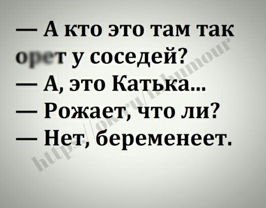 А кто это там так орет у соседей А это Катька Рожает что ли Нет беременеет