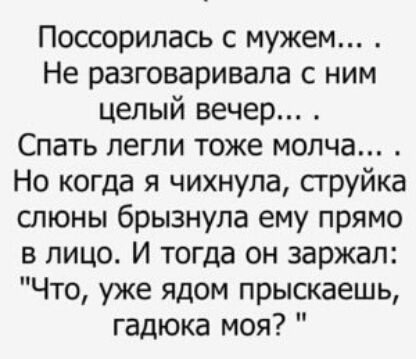 Поссорилась с мужем Не разговаривала с ним целый вечер Спать легли тоже молча Но когда я чихнула сгруйка слюны брызнула ему прямо в лицо И тогда он заржал Что уже ядом прыскаешь гадюка моя