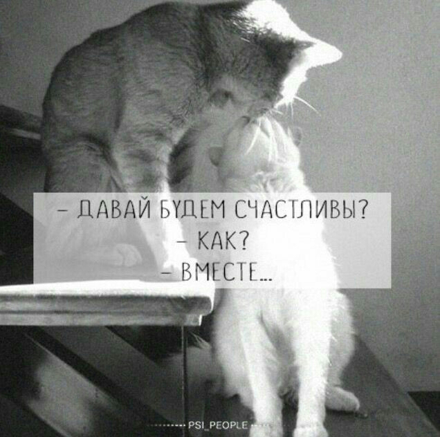 ДАВАЙ ЫЫЫ СЧДСЁПИБЫ КАК 1 Ъ1ЕСН__ 951 орц