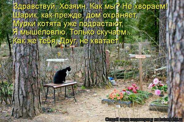 ВаЁсіаУйЁйО эрик кгтреище Ь