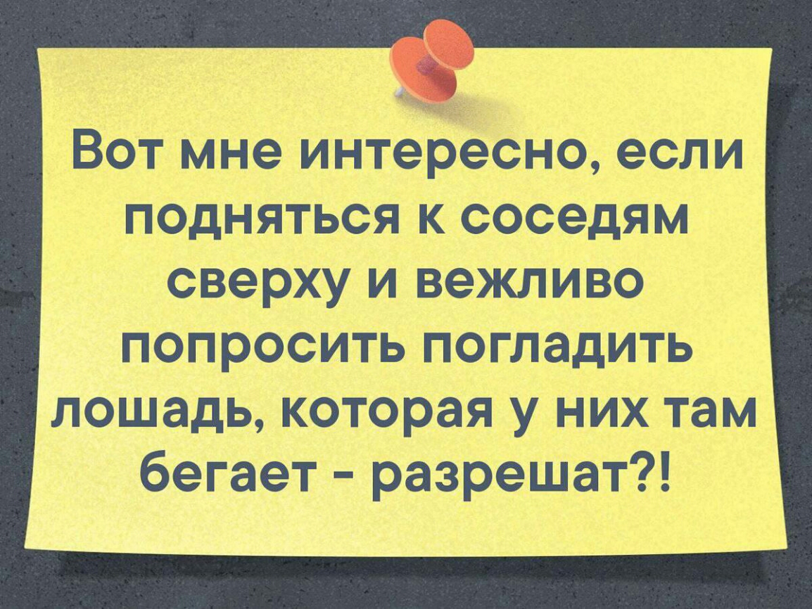 Ш Вот мне интересно если подняться к соседям сверху и вежливо попросить погладить лошадь которая у них там бегает разрешат