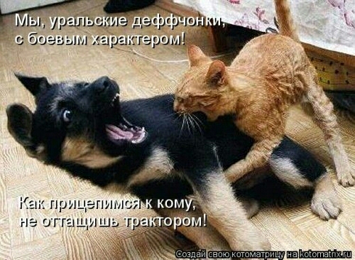 ла це грит вран гаригтл