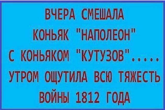 ВЧЕРА СМЕШАЛА КОНЬЯК НАПОЛЕОН С КОНЬЯКОМ КУТУЗОВ УТРОМ ОЩУТИЛА ВСЮ ТЯЖЕСТЬ ВОЙНЫ 1812 ГОДА