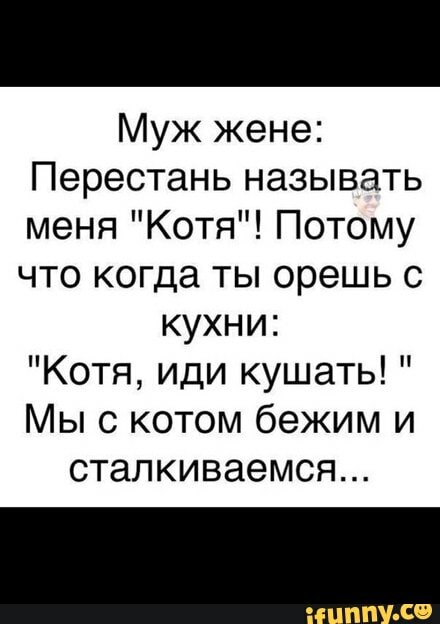 Муж жене Перестань называть меня Котя Потому что когда ты орешь с кухни Котя иди кушать Мы с котом бежим и сталкиваемся