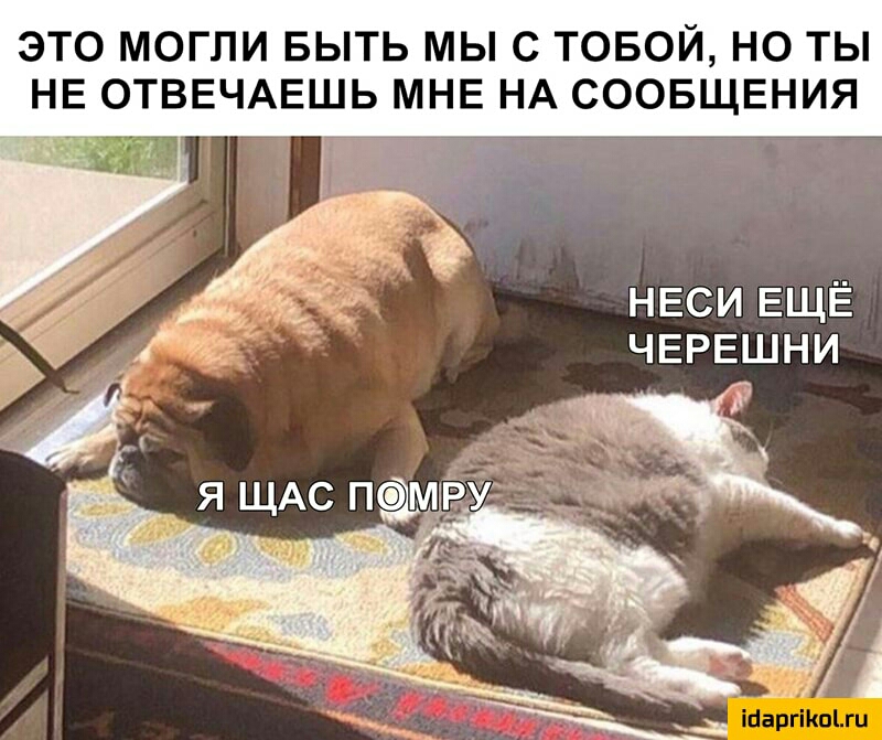 ЭТО МОГЛИ БЫТЬ МЫ С ТОБОЙ НО ТЫ НЕ ОТВЕЧАЕЩЬ МНЕ НА СООБЩЕНИЯ НЕСИ ЕЩЁ ЧЕРЕШНИ