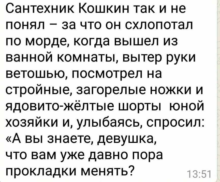 Сантехник Кошкин так и не понял за что он схлопотал по морде когда вышел из ванной комнаты вытер руки ветошью посмотрел на стройные загорелые ножки и ядовитожёлтые шорты юной хозяйки и улыбаясь спросил А вы знаете девушка что вам уже давно пора прокладки менять