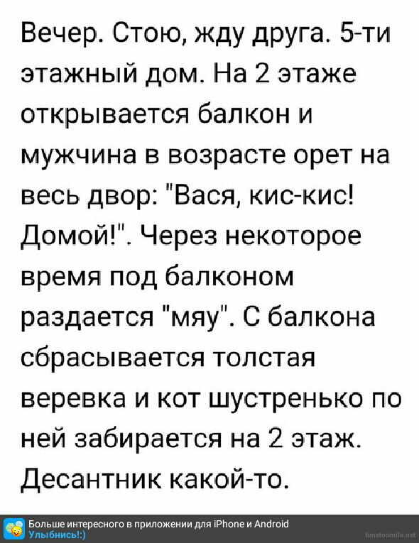 Вечер Стою жду друга 5 ти этажный дом На 2 этаже открывается балкон и мужчина в возрасте орет на весь двор Вася кискис Домой Через некоторое время под балконом раздается мяу С балкона сбрасывается толстая веревка и кот шустренько по ней забирается на 2 этаж Десантник какойто Больше интересного в приложении для РПопе и Апогоьо