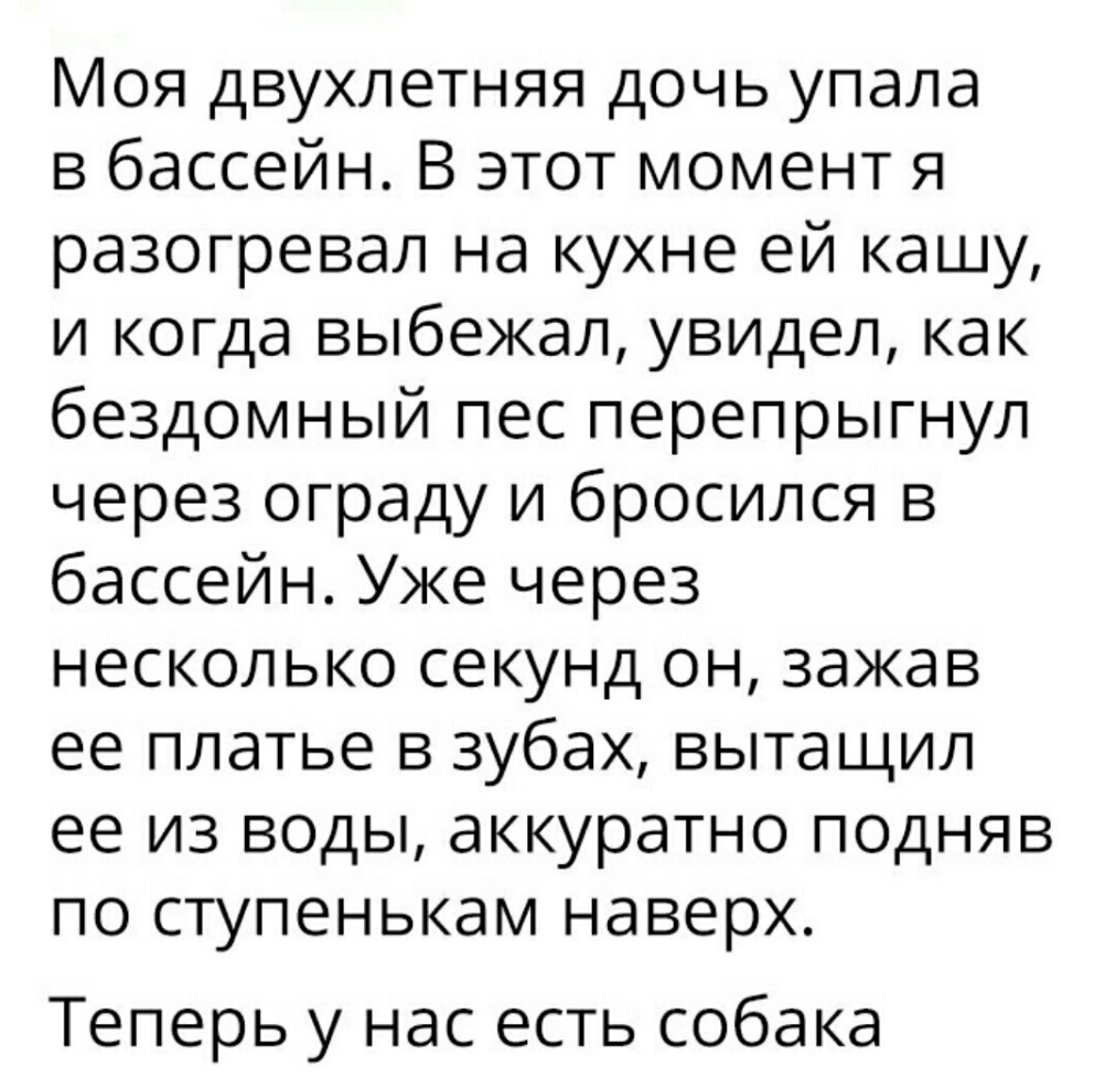 Моя двухлетняя дочь упала в бассейн В этот момент я разогревал на кухне ей кашу и когда выбежал увидел как бездомный пес перепрыгнул через ограду и бросился в бассейн Уже через несколько секунд он зажав ее платье в зубах вытащил ее из воды аккуратно подняв по ступенькам наверх Теперь у нас есть собака