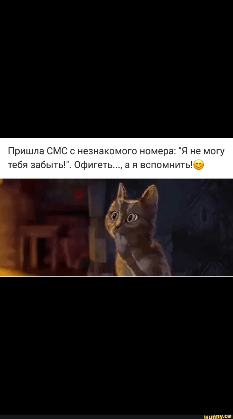 Пришла СМС с незнакомого номера Я не могу тебя забыть Офигеть а я вспомнить пит