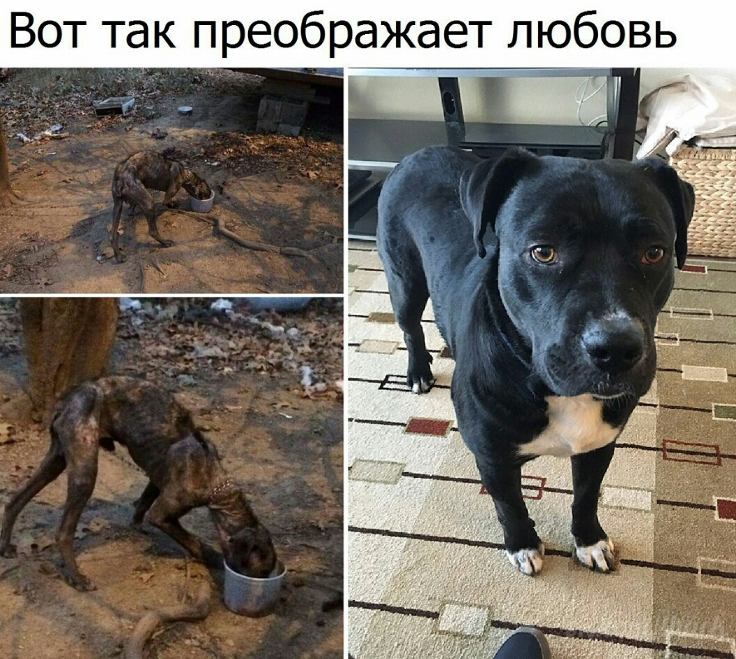 Вот так преображает любовь