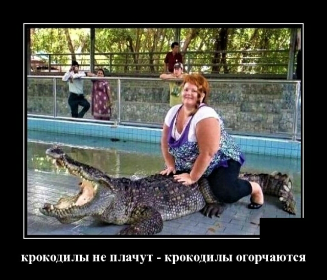крокодилы не плачут крокодилы ОГОРЧаЮТСЯ