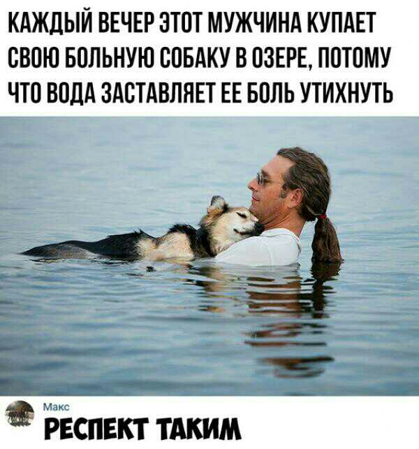 КАЖДЫЙ ВЕЧЕР ЭТОТ МУЖЧИНА КУПАЕТ СВОЮ БОЛЬНУЮ СОБАКУ В ОЗЕРЕ ПОТОМУ ЧТО ВОДА ЗАСТАВЛЯЕТ ЕЕ БОЛЬ УТИХНУТЬ ___ ркпвкт тдким