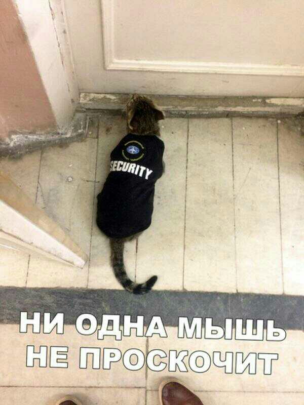 ЁЁ ЁБЁСЭЧЙЁ а _