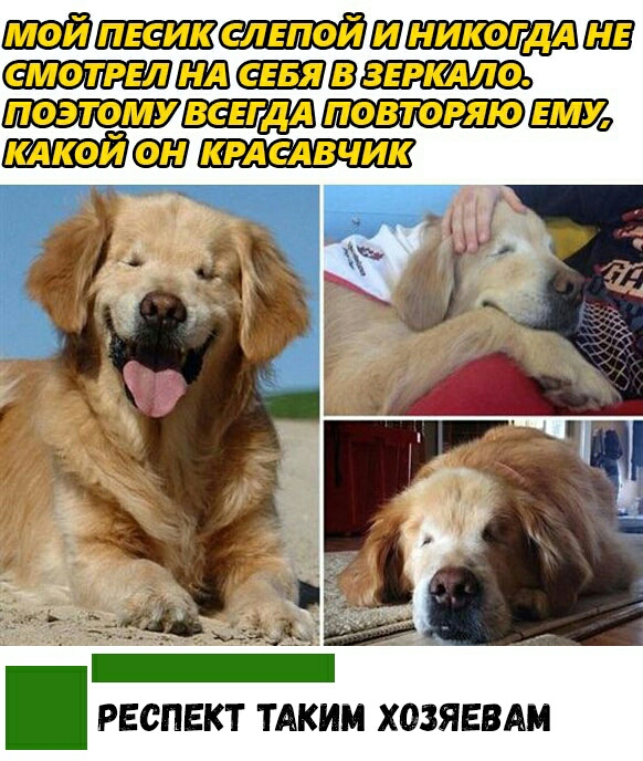РЕСПЕКТ ТАКИМ ХОЗЯЕВАМ
