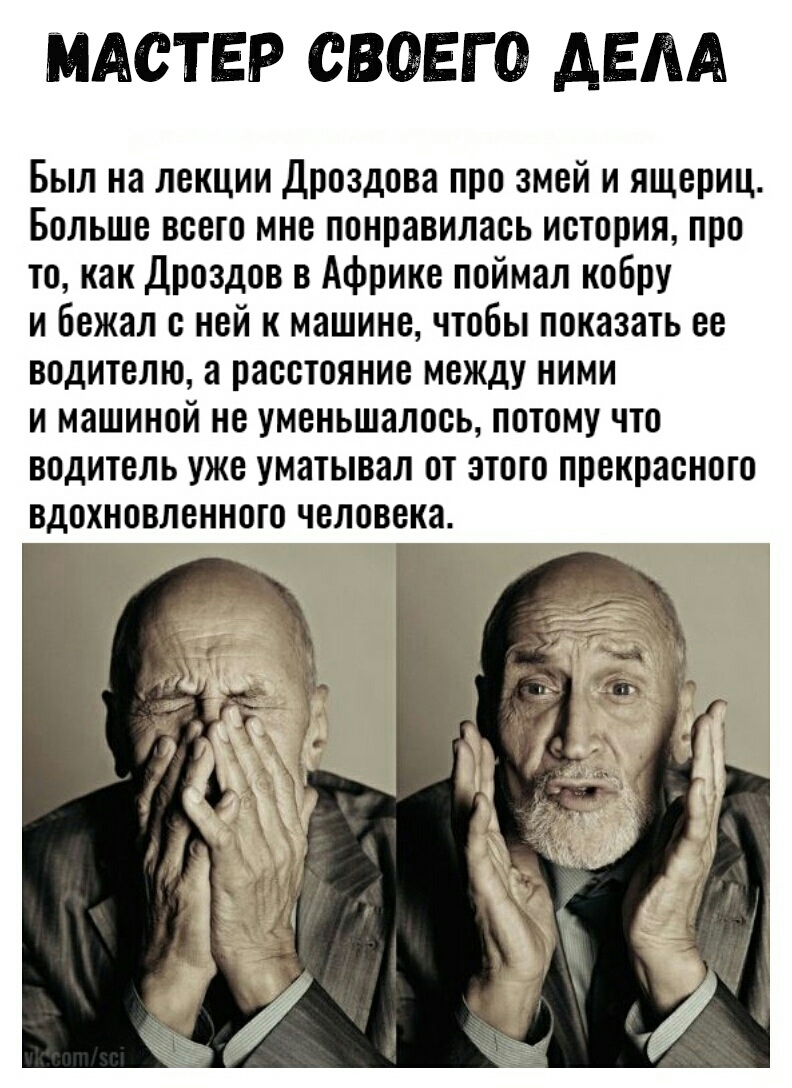 МАСТЕР СВОЕГО АЕАА Был на лекции Дроздова про змей и ящериц Больше всего мне понравилась история про то как Дроздов в Африке поймал кобру и Бежал с ней к машине чтобы показать ее водителю а расстояние между ними и машиной не уменьшалось потому что водитель уже уматывал от этого прекрасного вдохновленного человека