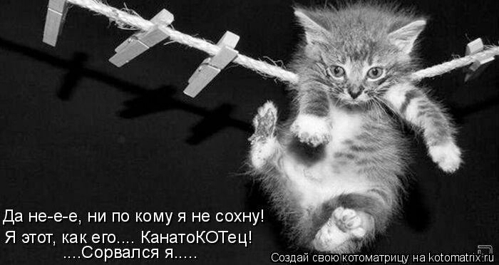 Да не е е ни по кому я не сохну Я этот как его КанатоКОТец Сорвапся я г У Создаи свою котоматрицу на Коіотаіпхш