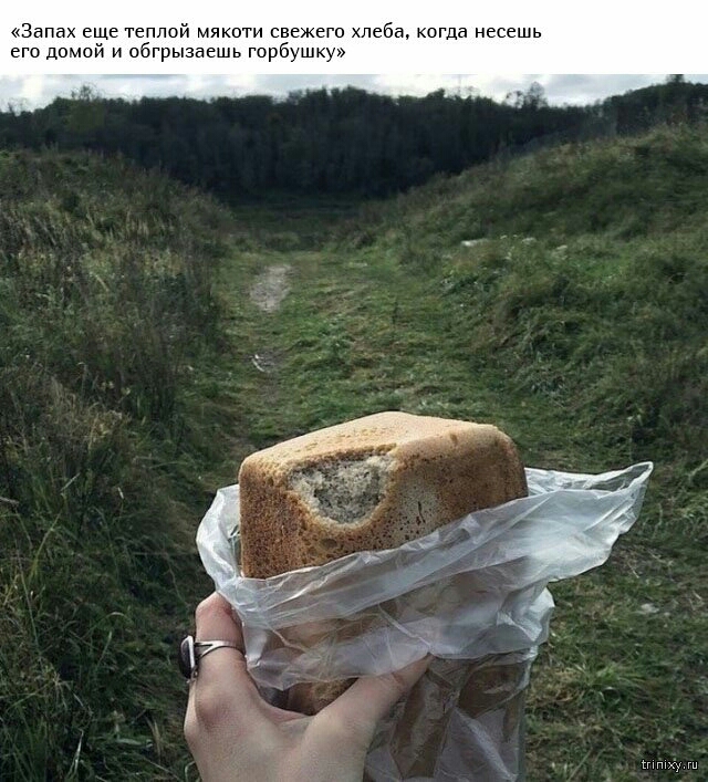 Запах еще теплой мякоти свежего хлеба когда несешь его домой и сбгрыааешь горбушку шху