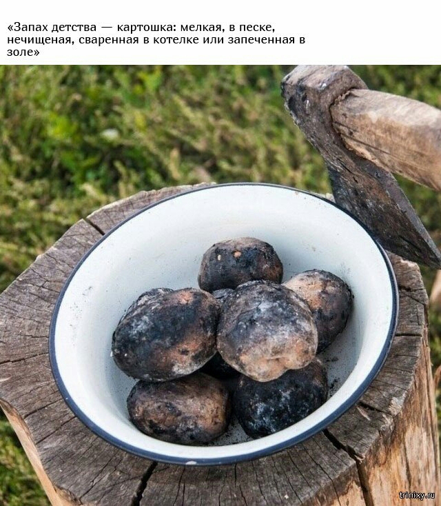 Запах детства картошка мелкая в песке нечищеная сваренная в котелке или запеченная в золе