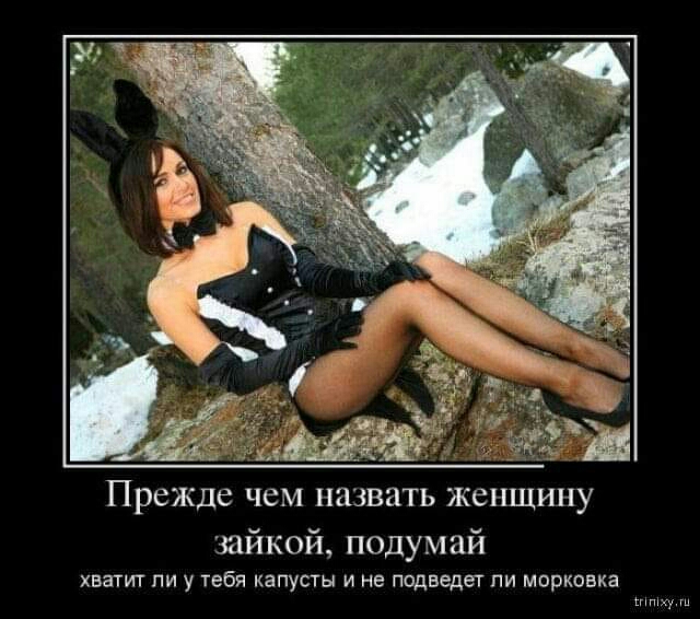 Прежде чем назвать женщину зайкой подумай хватит ли у тебя капусты и не подведет пи морковка ху