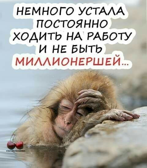 намного УСТААА постоянно ходить НА РАБОТУ и не БЫТЬ М ИАА и о н Е РШ 5 й