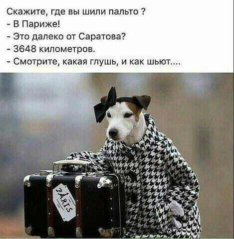 Скажите где вы шили пальто В Париже Это далеко от Саратова 3648 километров Смотрите какая глушь и как шьют