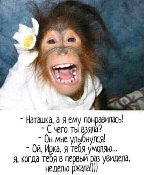 Наташка а я ему понравилась С чего ты взяла Ри мне уьбнукя ка я тебя умолян я ый тебя В первый и увидела неделю ржала