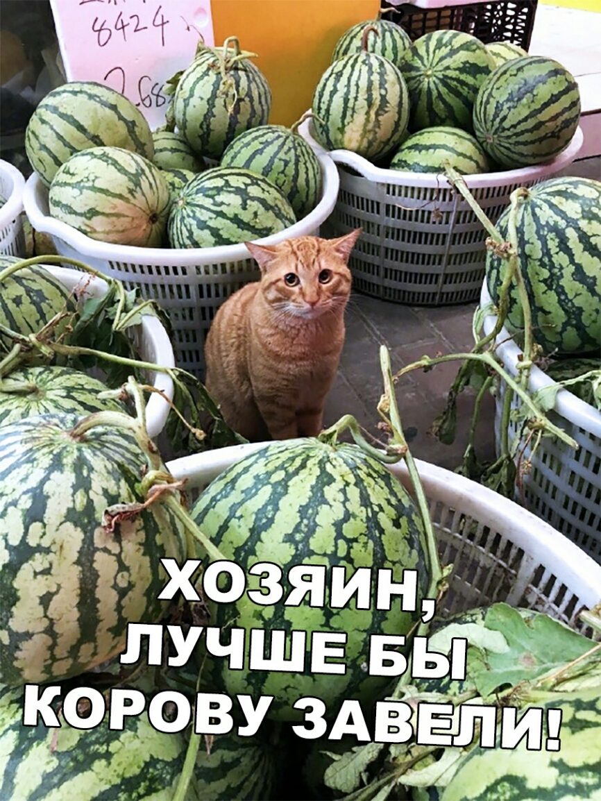 А ая С у 5 1 4 ЛУЧШЕ БГ