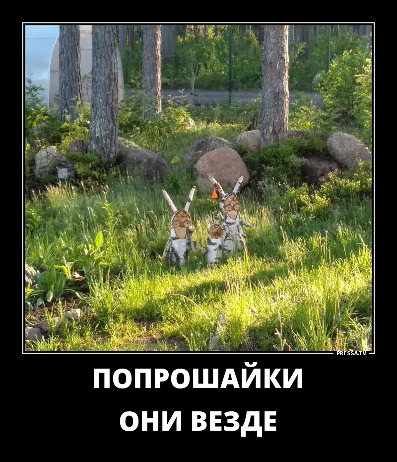 Ёііэ _ попрошдйки они внздн