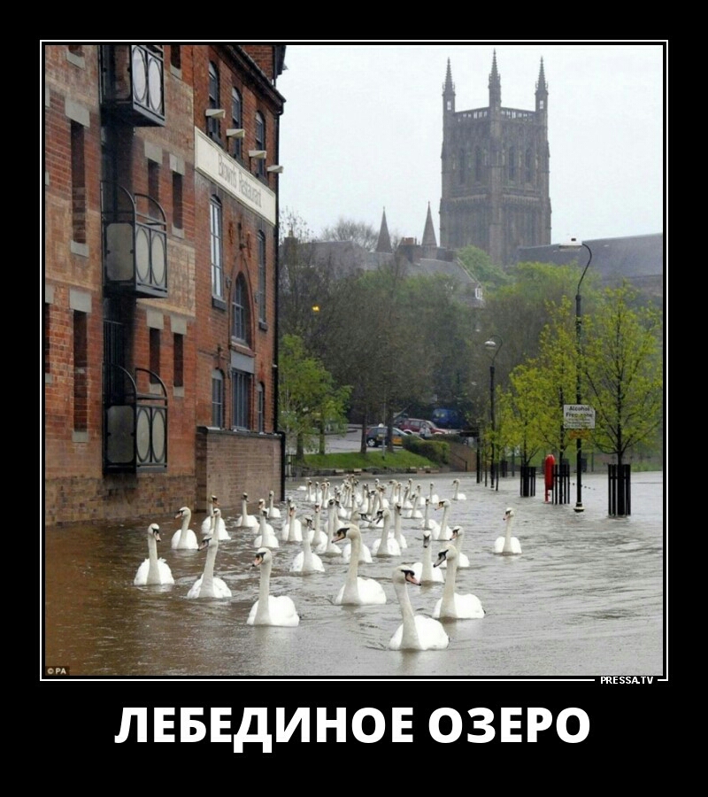 _ П и т ЛЕБЕДИНОЕ ОЗЕРО