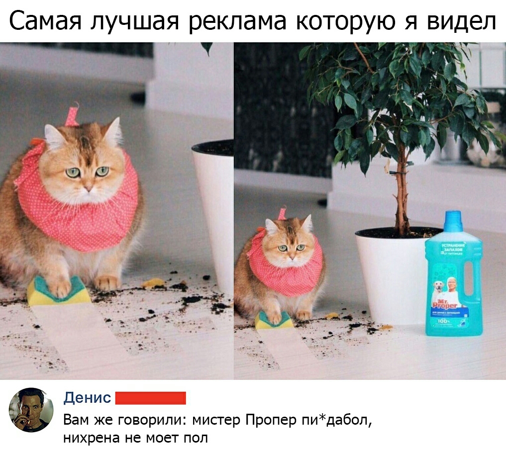 Самая лучшая реклама которую я видел __ Денис Вам же говорили мистер Пропер пидабоп нихрена не МОЕТ ПОЛ