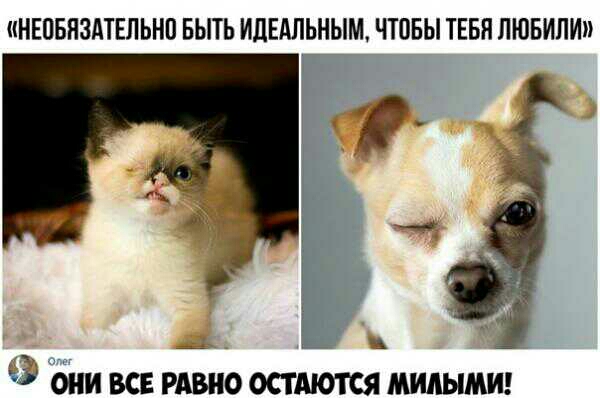 НЕПБНЗАТЕЛЬНП БЫТЬ ИЦЕдЛЬНЫМ ЧЮБЫ ТЕБЯ ЛЮБИЛИ 53 они все РАВНО остатся мидымиг