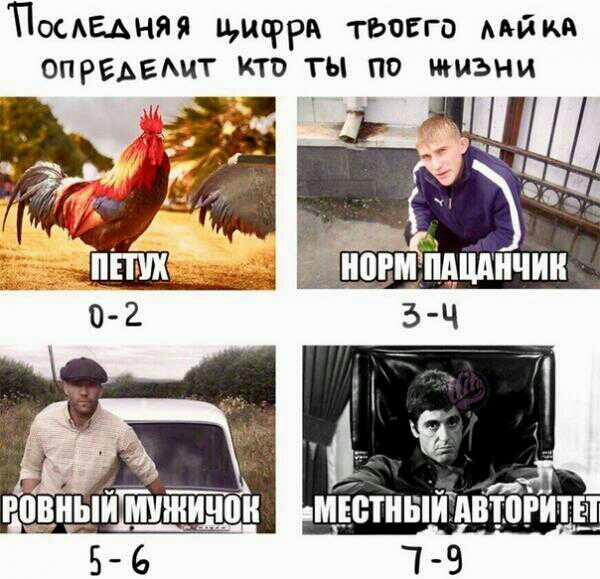 ПосАЕАняя цифра тывго мйка оправхит кто ты по жизни п