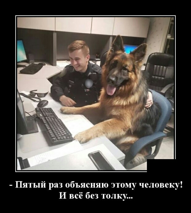 Пятый раз объясняю этому человеку И всё без толку