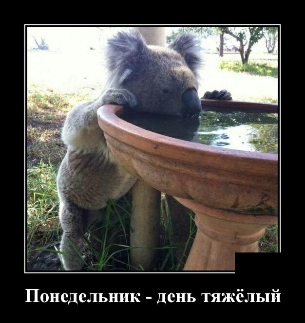 4 Понедельник День тяжёлый