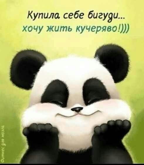Купила себе бигууи хочу жыть кучерявэЛ 2_