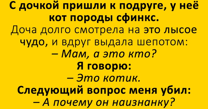 С дочкой пришили к подруге у ме кот йороды сфинкс Доча долго смотрела на это лысое чудо и вдруг выдала шепотом Мам а это кто я говорю Это котик Следующий вопрос меня убил А почему он наизнанку