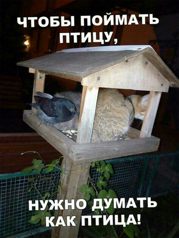 чтовы пойммь