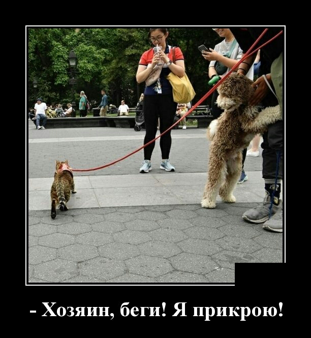 Хозяин беги Я прикрою