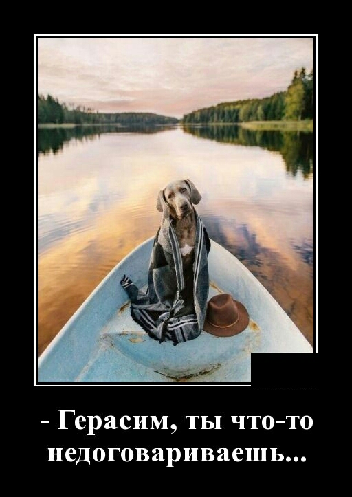 Герасим ты что то недоговариваешь