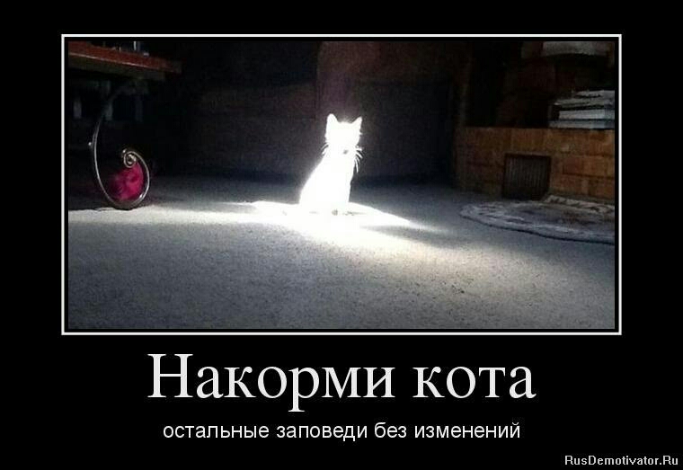 НакорМИ кота остальные заповеди без изменений ппзвьшпсішшвп
