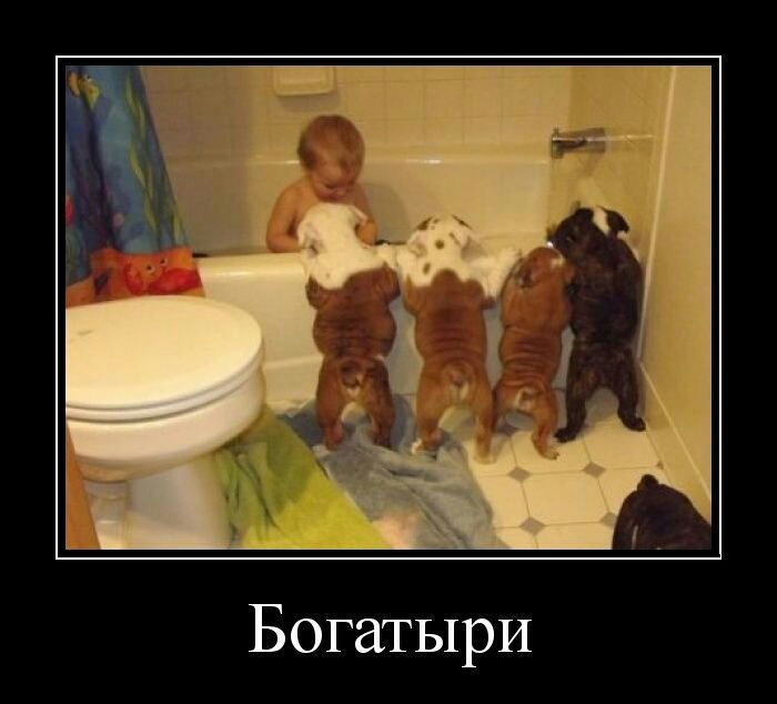 Богатыри