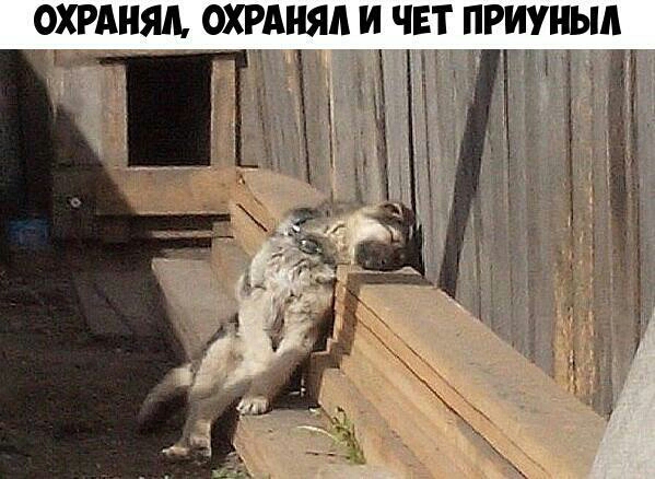 ОХРАНЯЛ ОХРАНЯА И ЧЕТ ПРИУНЫА