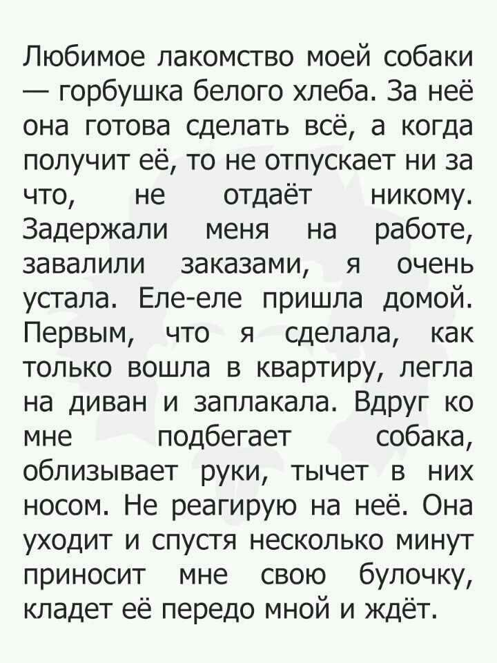 Любимое лакомство моей собаки горбушка белого хлеба За неё она готова сделать всё а когда получит её то не отпускает ни за что не отдаёт никому Задержали меня на работе завалили заказами я очень устала Елееле пришла домой Первым что я сделала как только вошла в квартиру легла на диван и заплакала Вдруг ко мне подбегает собака облизывает руки тычет в них носом Не реагирую на неё Она уходит и спустя