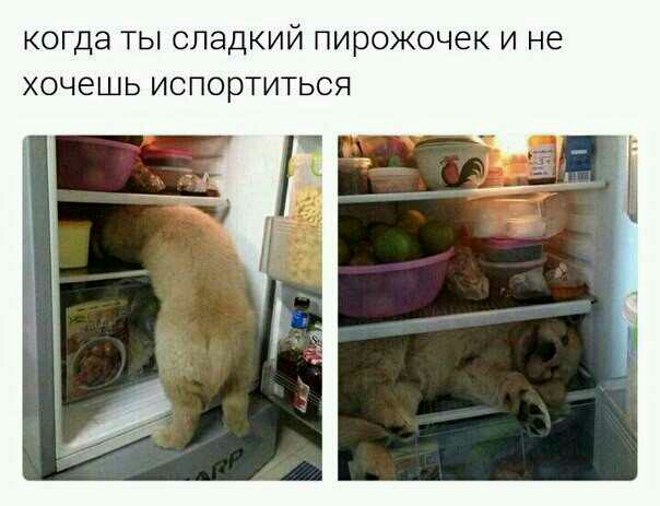 КОГДЭ ТЫ СЛЭДКИЙ пирожочек И Не ХОЧЕШЬ ИСПОРТИТЬСЯ